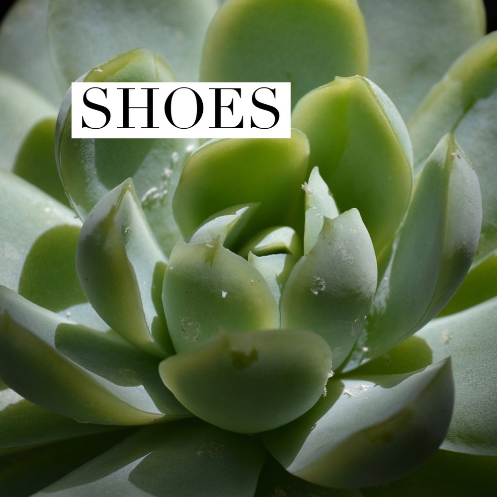 Women’s Shoes